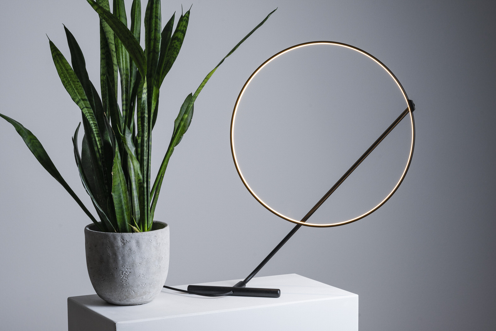 Poise table lamp with slender steel frame